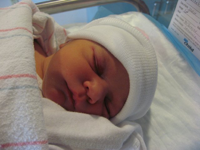 IMG_1746.JPG - Bathed and napping comfortably.