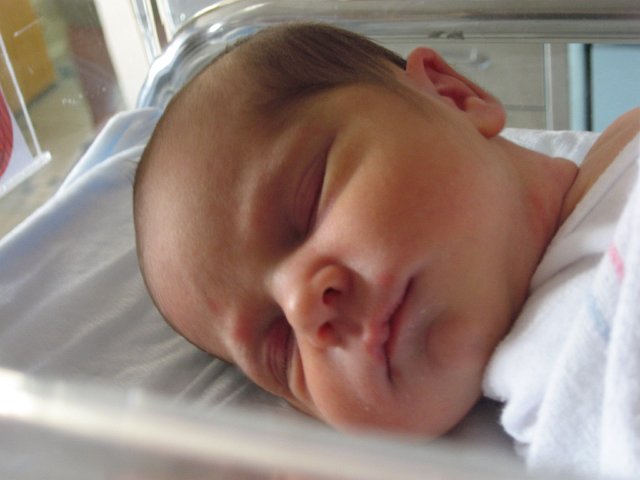 IMG_1775.JPG - One of our favorite photos so far ...