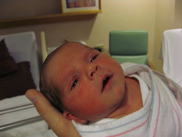 IMG_1791.JPG - Hey there, baby cakes!