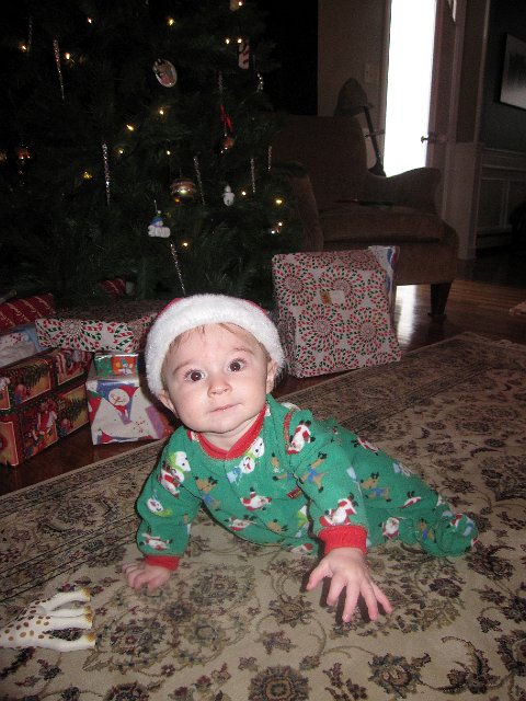 IMG_2310b.jpg -                                