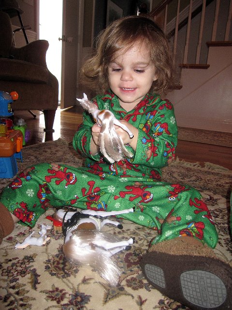 IMG_2331b.jpg - And let the parade of toys begin ...
