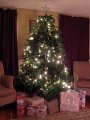 IMG_2308b