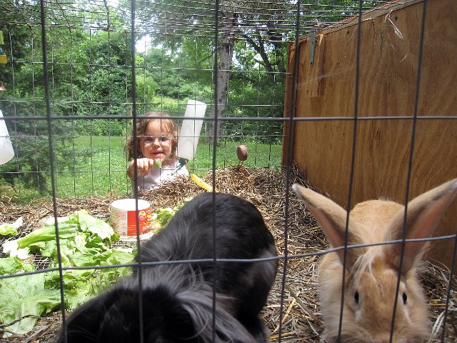 IMG_4778b.jpg - We even took a little time out to go feed the bunnies.