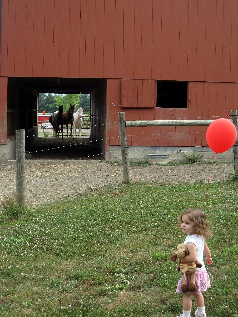 IMG_4944b.jpg - Even the horses wanted to come out to wish Catherine a Happy Birthday!  (Surry, Min & Eva)
