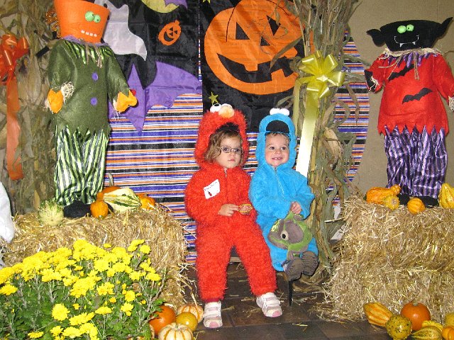 IMG_6742.JPG -                                