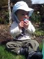 IMG_3638b