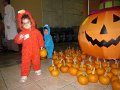 IMG_6737
