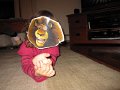 IMG_3055