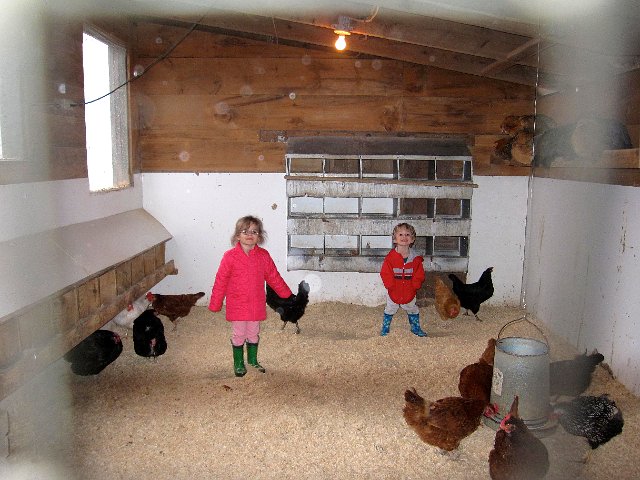 IMG_4647.jpg - The kids loved playing in the chicken coop.  I cannot, however, imagine that the chickens felt the same way.