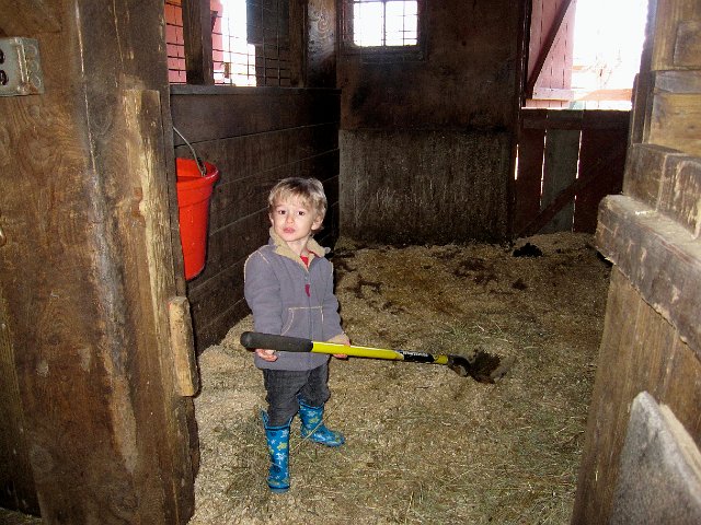 IMG_4667.jpg - This guy saw the shovels and rakes and wanted us to return home to get his so he could help in the barn.