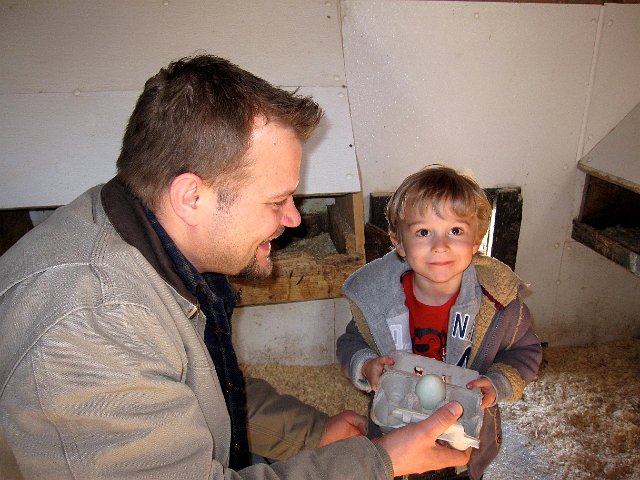 IMG_4673.jpg - What a beaming face of pride because he found an egg.