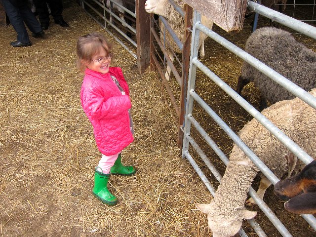 IMG_6882.jpg - She absolutely hated the farm animals, can you tell?