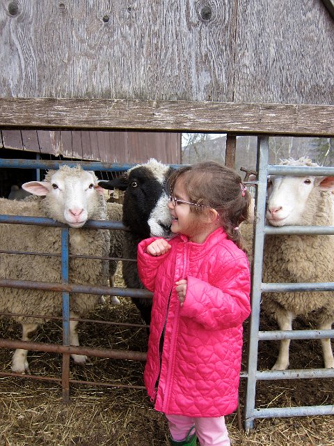 IMG_6892.jpg - The animals were absolutely great to be around ... hoping a lot of memorable moments were created this weekend.