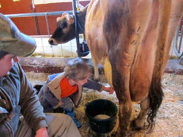 IMG_6991.jpg - Nathan joined in (ever so briefly) today too.
