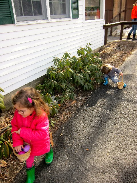 IMG_7001.jpg - Catie Ann, of course, only focused on finding pink and purple eggs.