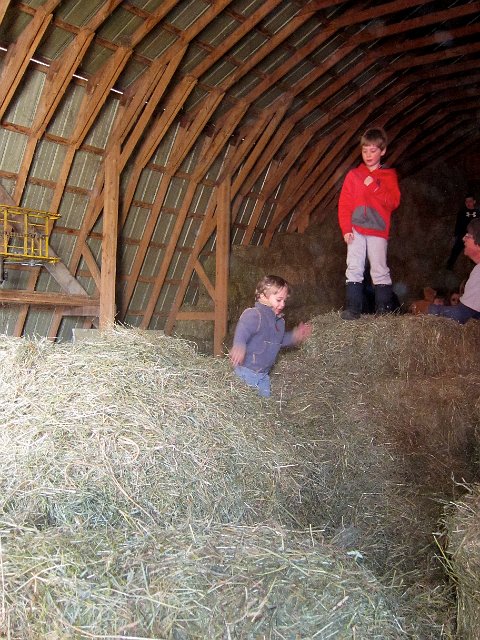 IMG_7022.jpg - They made Grandpop proud with their love for the hay loft.
