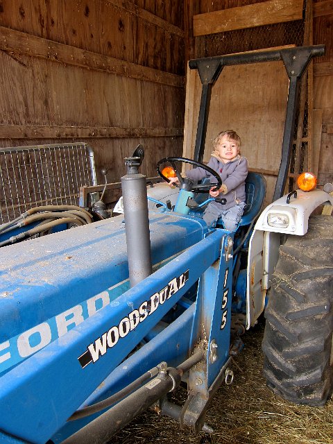 IMG_7032.jpg - A tractor that has been climbed onto yet?  Unthinkable