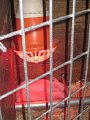 IMG_4592