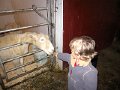 IMG_4653