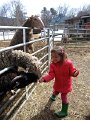 IMG_4765