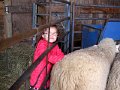 IMG_4771