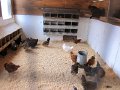 IMG_6876
