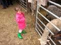 IMG_6882