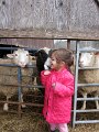 IMG_6892