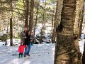 IMG_6945