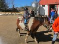 IMG_6972