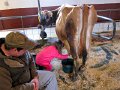 IMG_6982