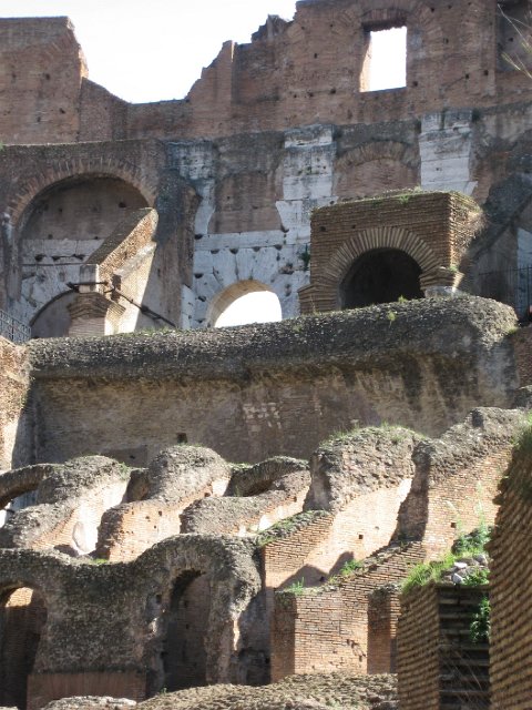 Colosseum-33.JPG