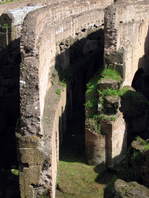 Colosseum-44.JPG