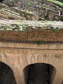 Colosseum-59