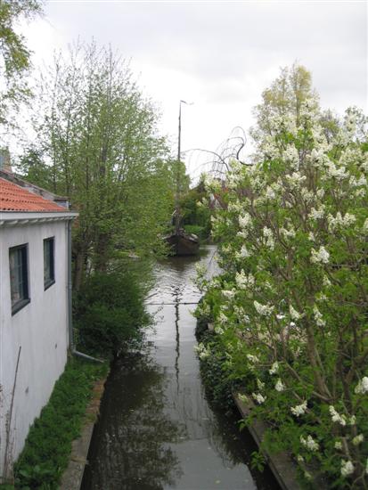 edam06.jpg