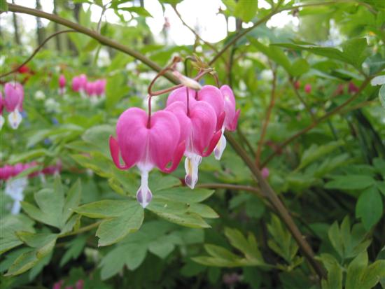 floriade04.jpg