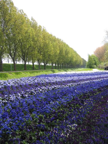 floriade11.jpg
