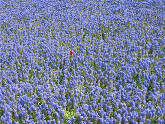floriade14.jpg