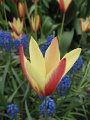 floriade02