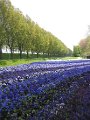 floriade11