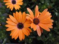 floriade16