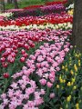 floriade18