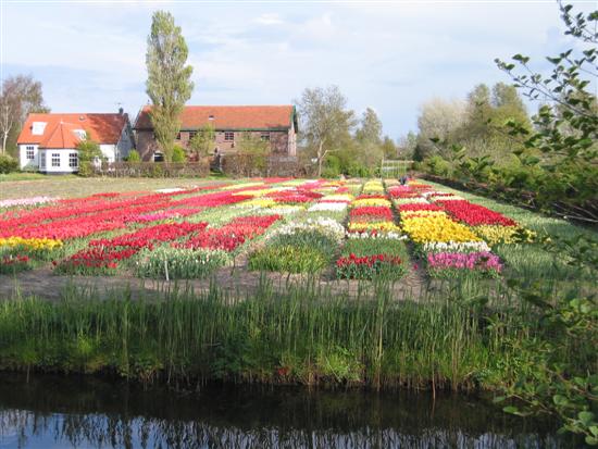 keukenhof01.jpg