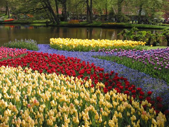 keukenhof07.jpg