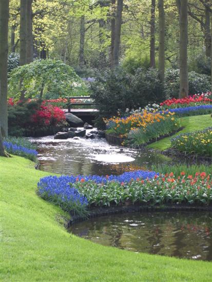 keukenhof16.jpg