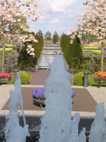 keukenhof18.jpg