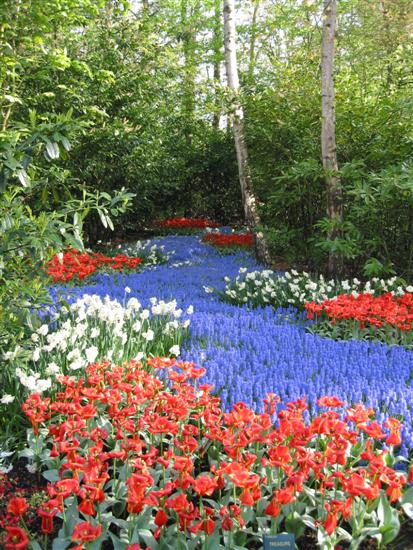 keukenhof25.jpg