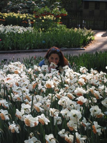 keukenhof26.jpg