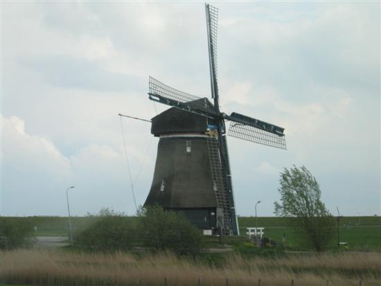 windmills02.jpg