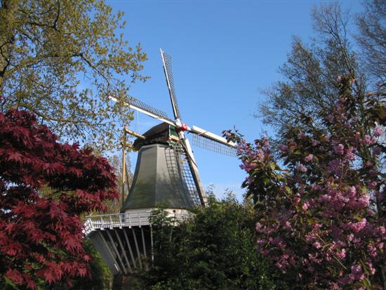 windmills03.jpg